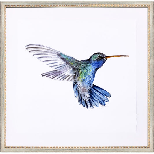 framed giclée blue hummingbird