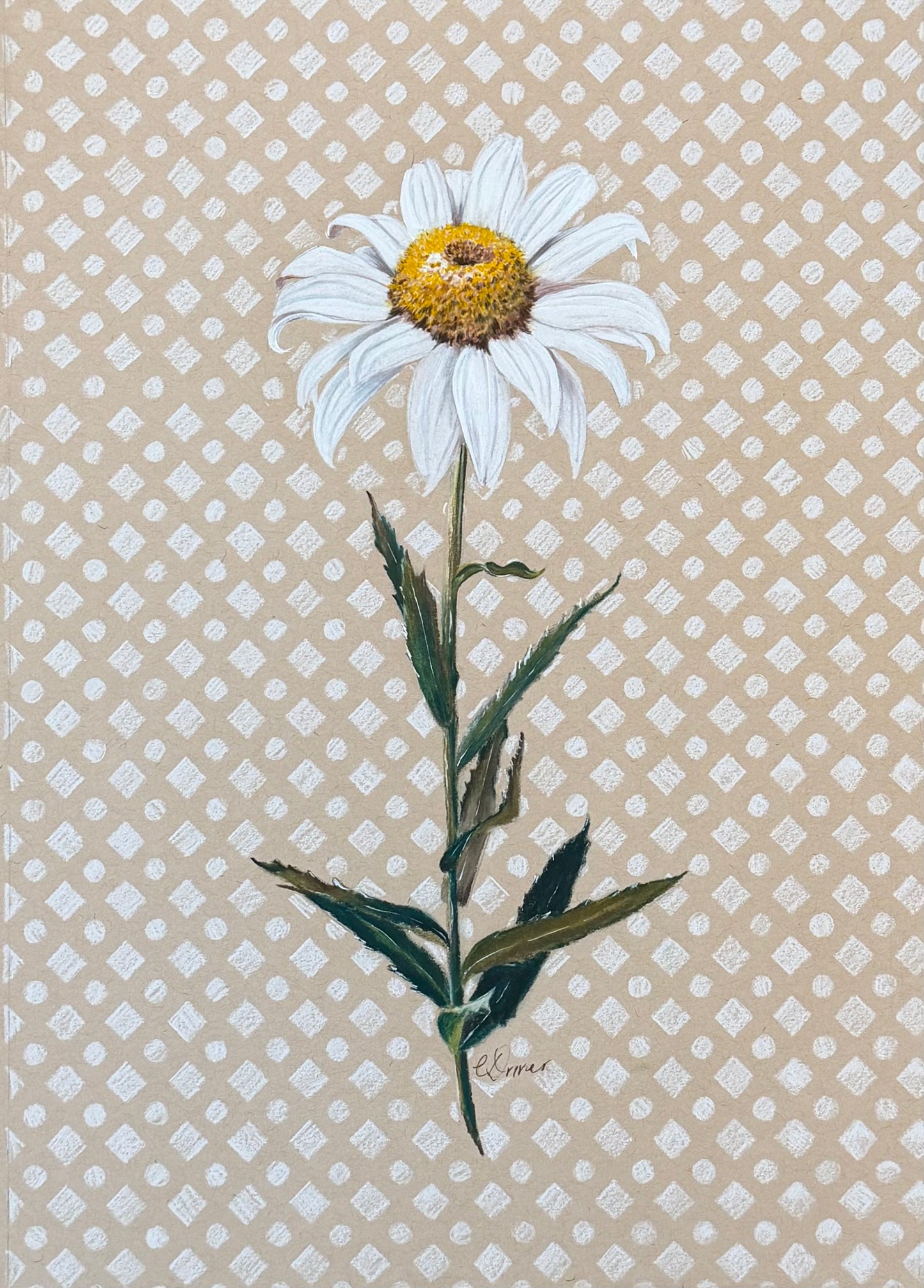 farmhouse daisy