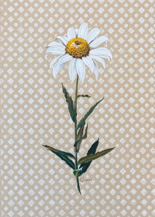 farmhouse daisy