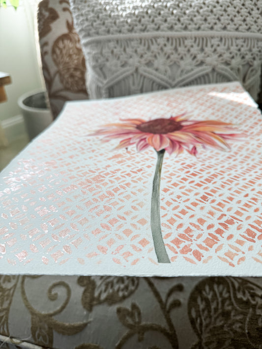 echinacea cone flower