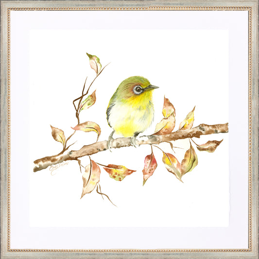 framed giclée yellow warbler