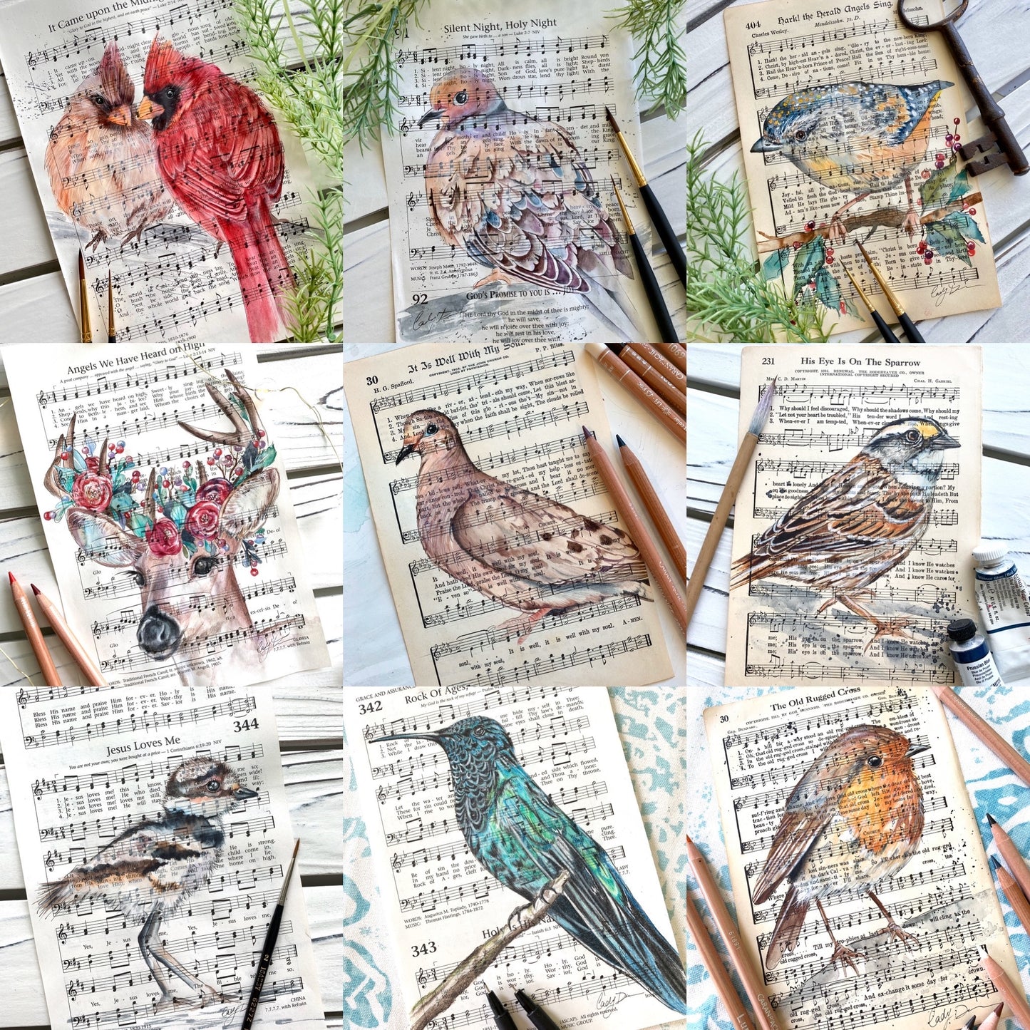 "birds galore" package! BEST VALUE