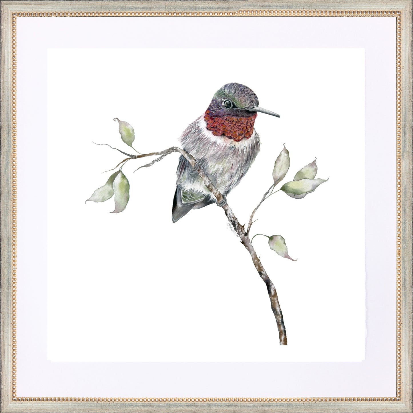 framed giclée ruby throated hummingbird