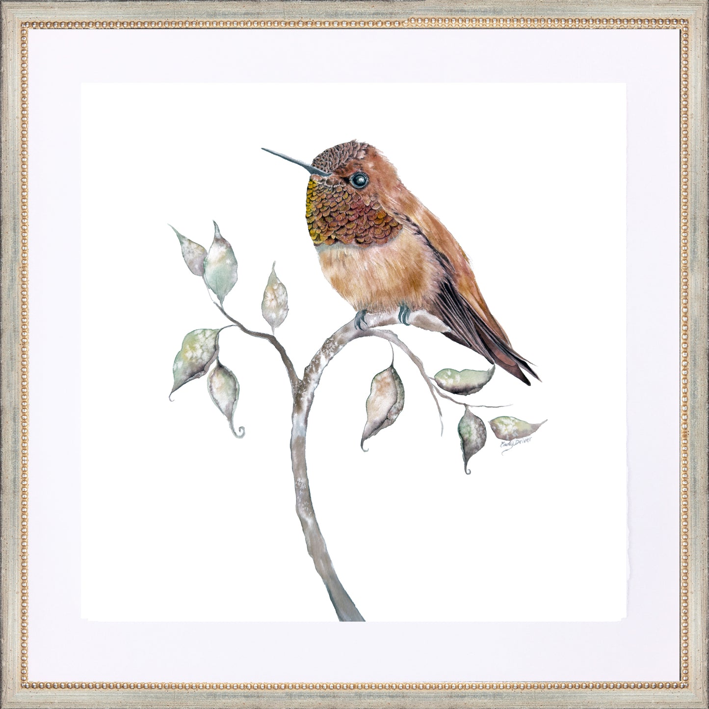 framed giclée rufous hummingbird