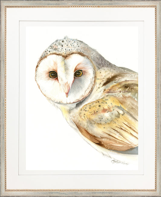 framed giclée barn owl