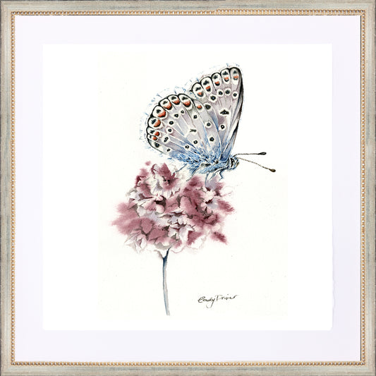 framed giclée lilac butterfly