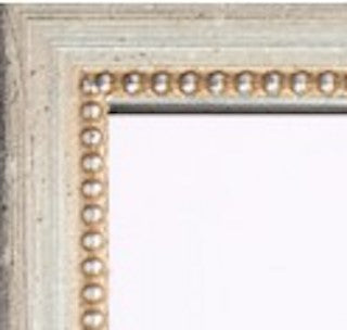 framed giclée robin