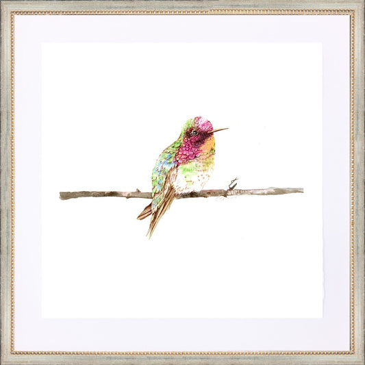 framed giclée pink sitting hummingbird