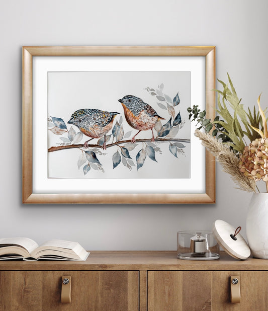 original spotted pardalots