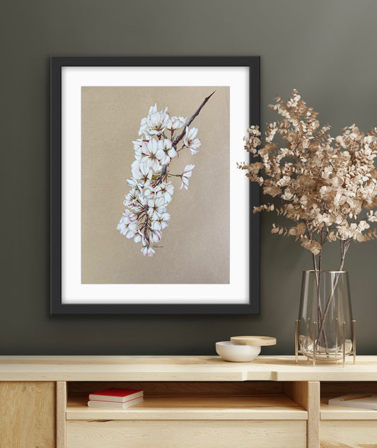 spring cherry blossoms