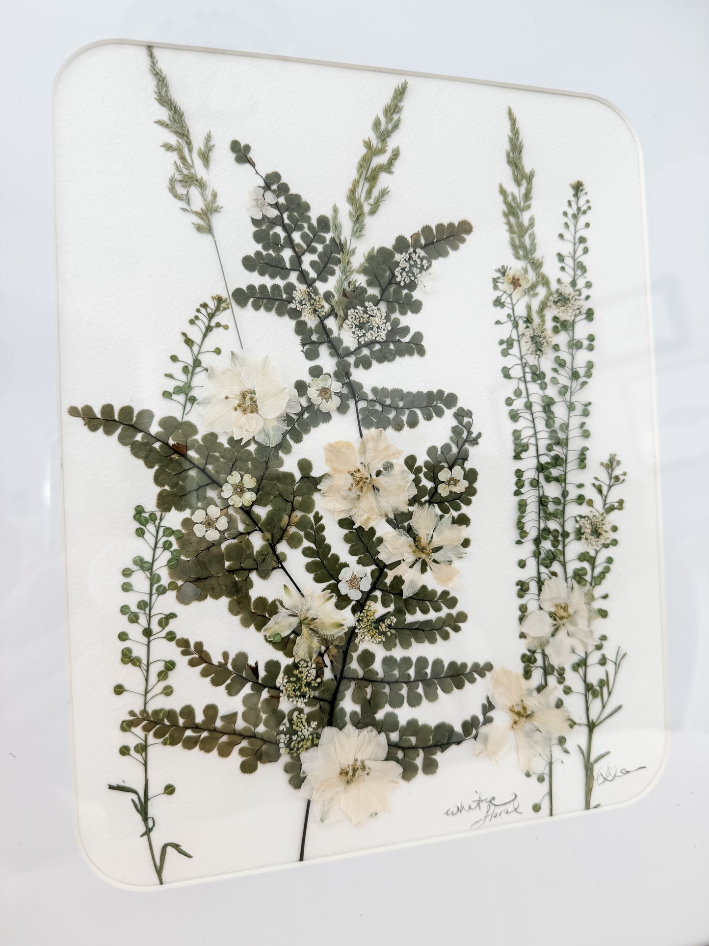 original pressed flower art - "white"
