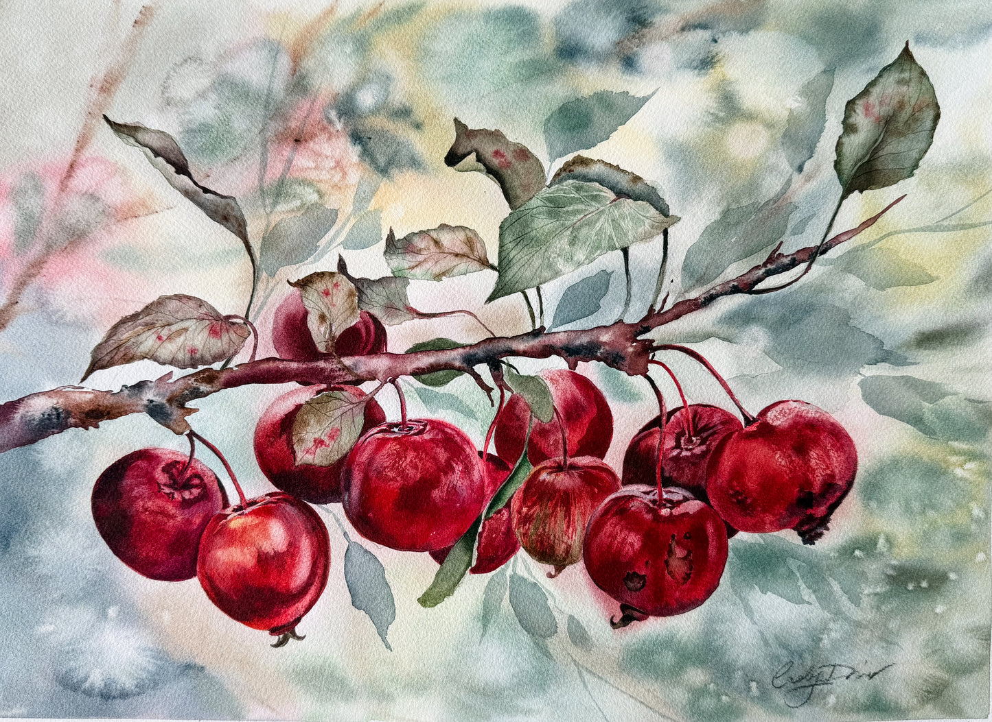 crabapples study