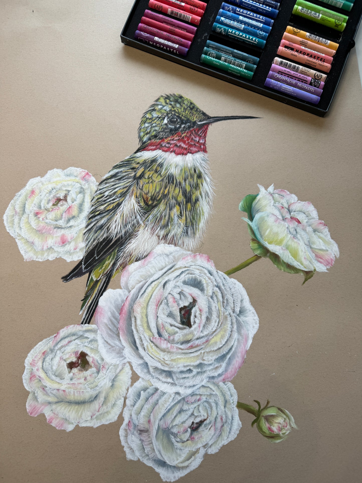 original hummingbird on roses