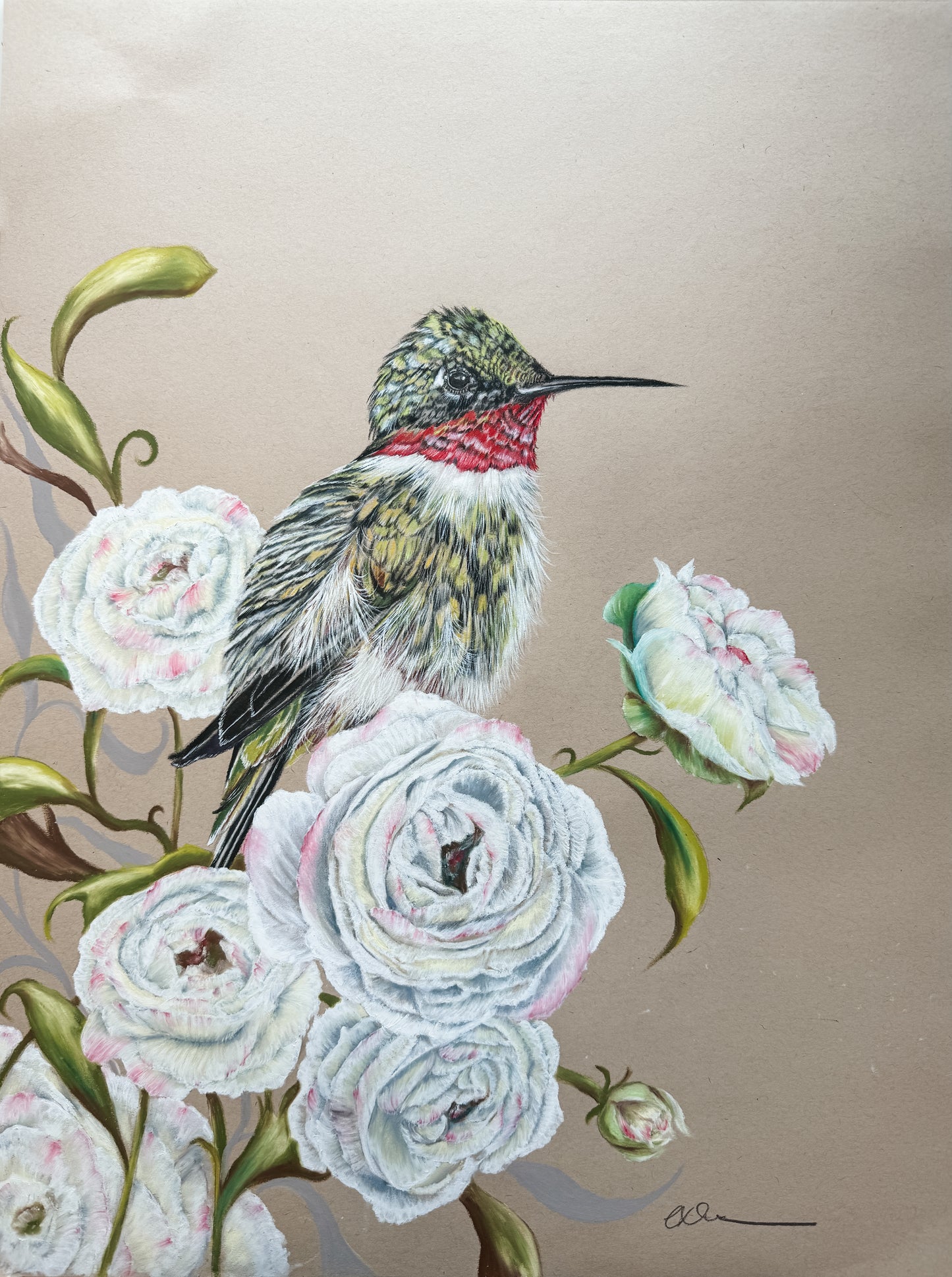 original hummingbird on roses