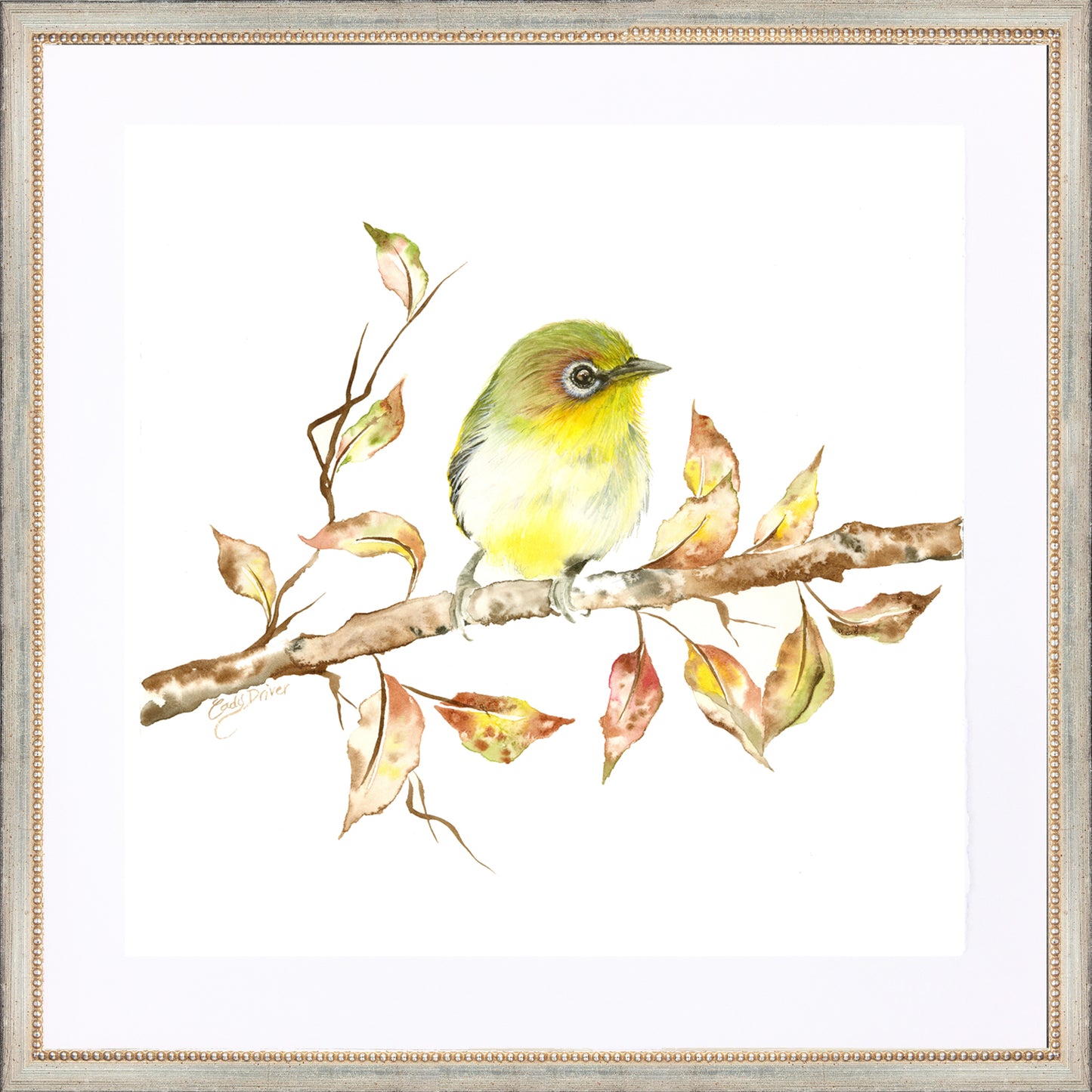 framed giclée yellow warbler