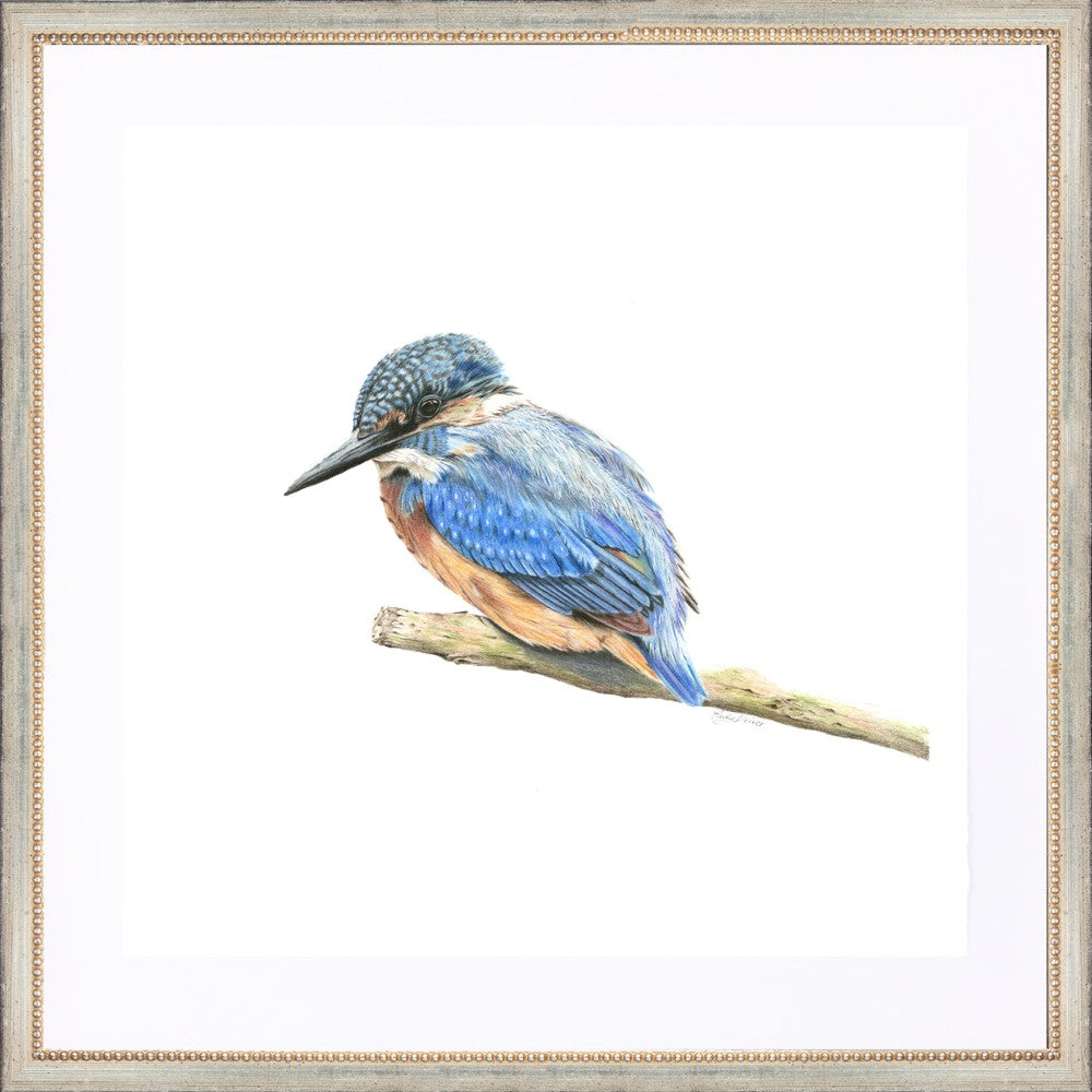 framed giclée kingfisher