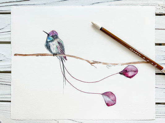 purple hummingbird
