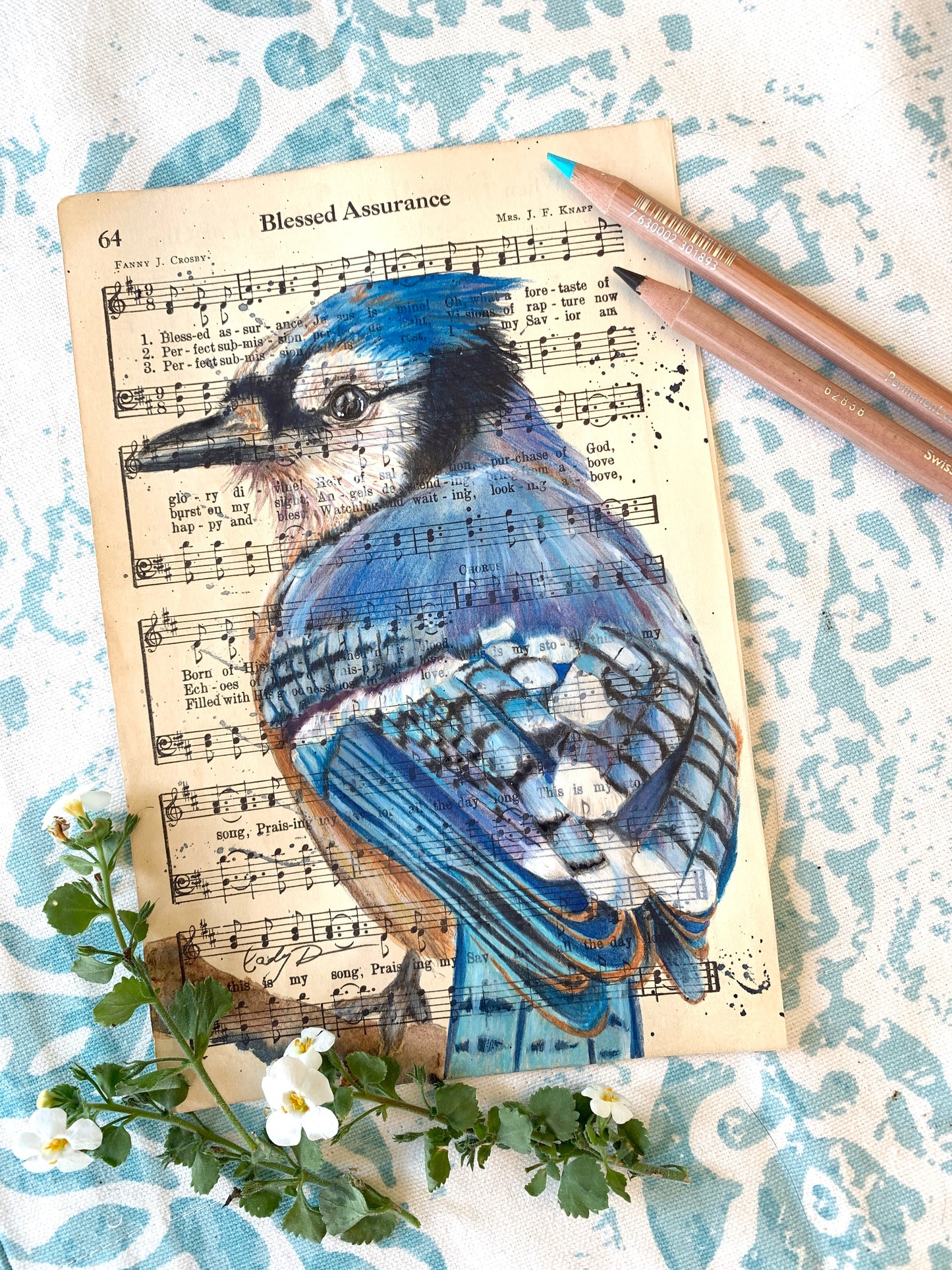 Bluejay on Blessed Assurance